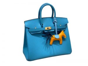 Birkin 25/30 Epsom (Bleu du Nord)