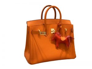 Birkin 25/30 Epsom (Orange)