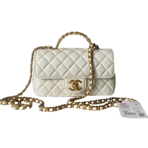 Chanel Flap Bag 25K  AS5813