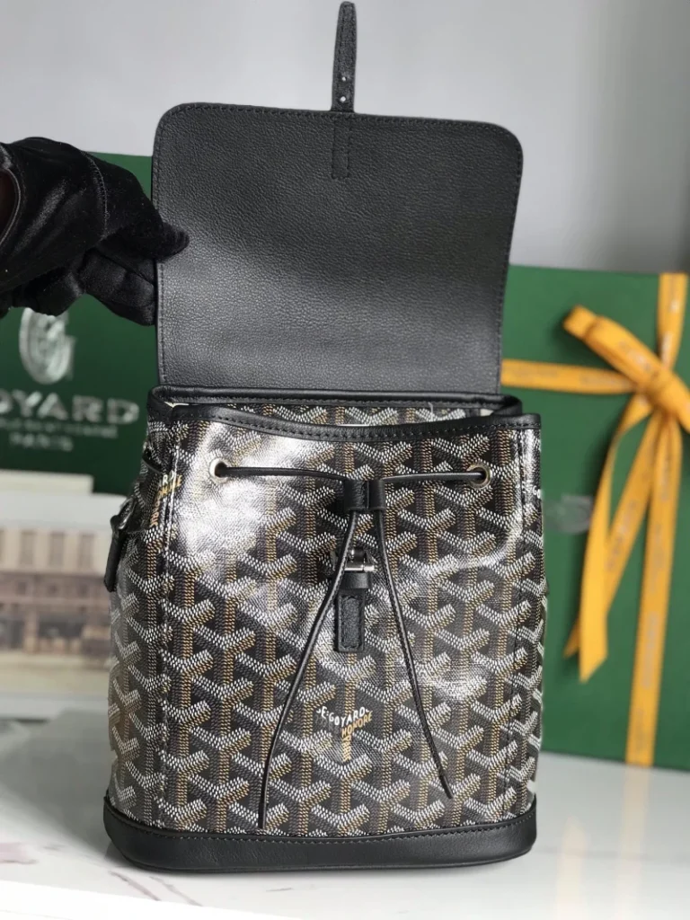 Goyard Alpin Mini Backpack Bag 007