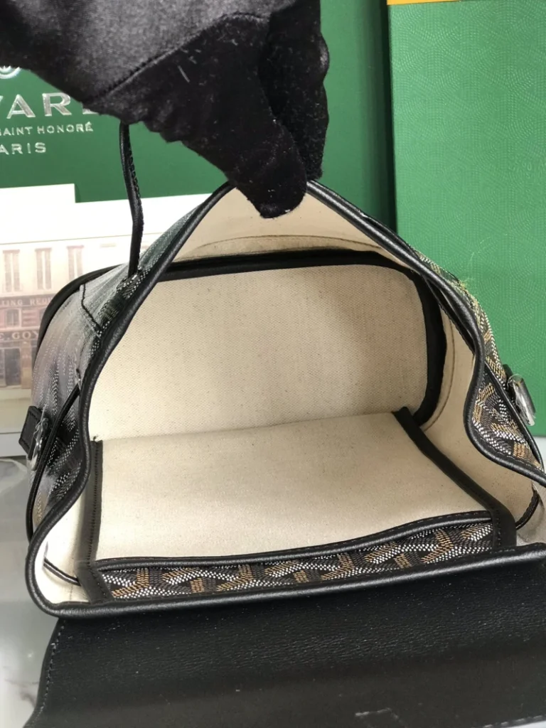 Goyard Alpin Mini Backpack Bag 009
