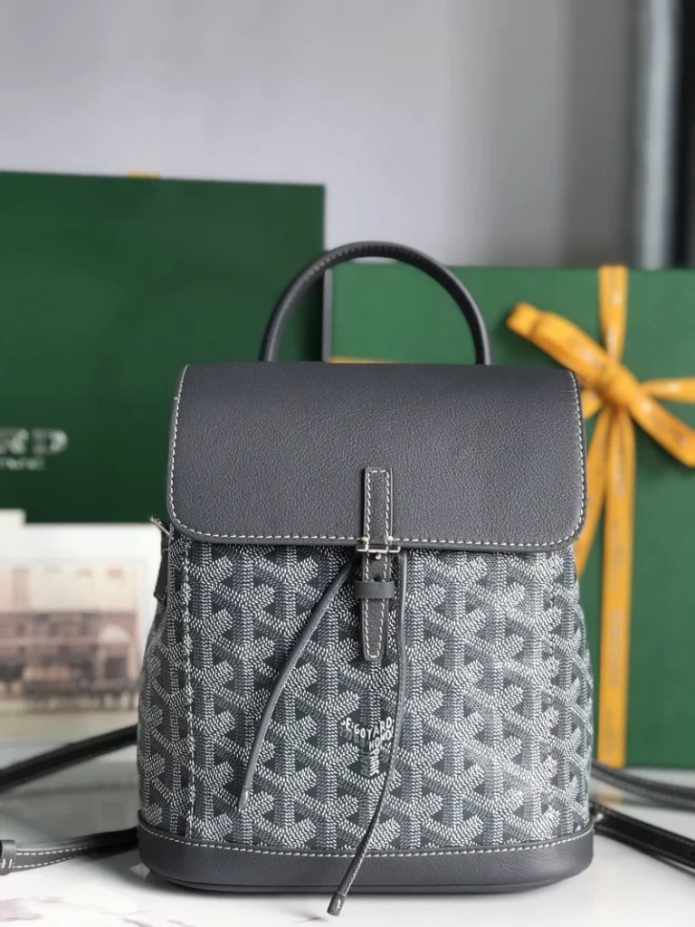 Goyard Alpin Mini Backpack Bag 011