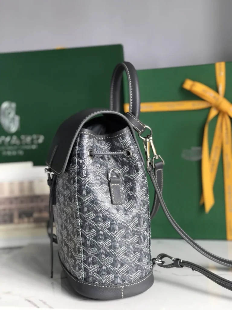 Goyard Alpin Mini Backpack Bag 012