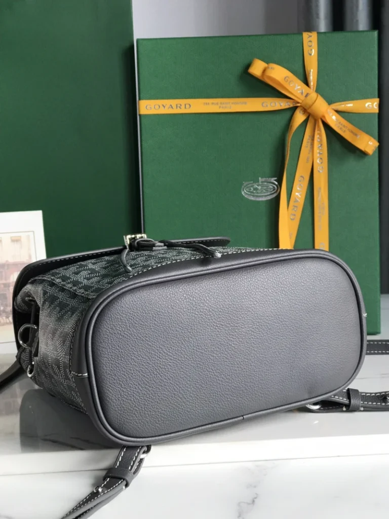 Goyard Alpin Mini Backpack Bag 013