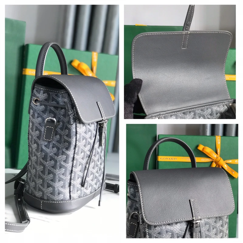 Goyard Alpin Mini Backpack Bag 019