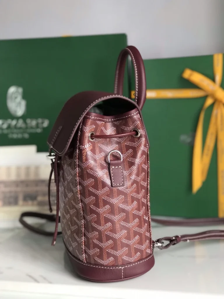 Goyard Alpin Mini Backpack Bag 048
