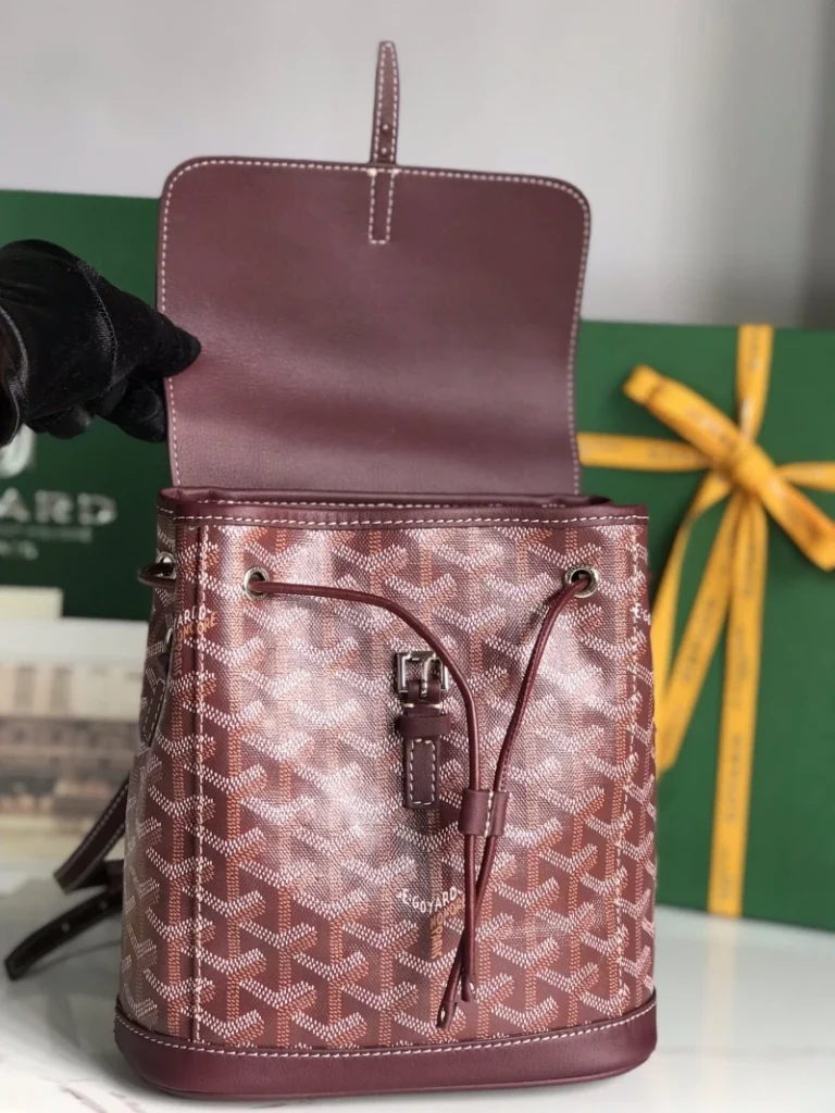 Goyard Alpin Mini Backpack Bag 050