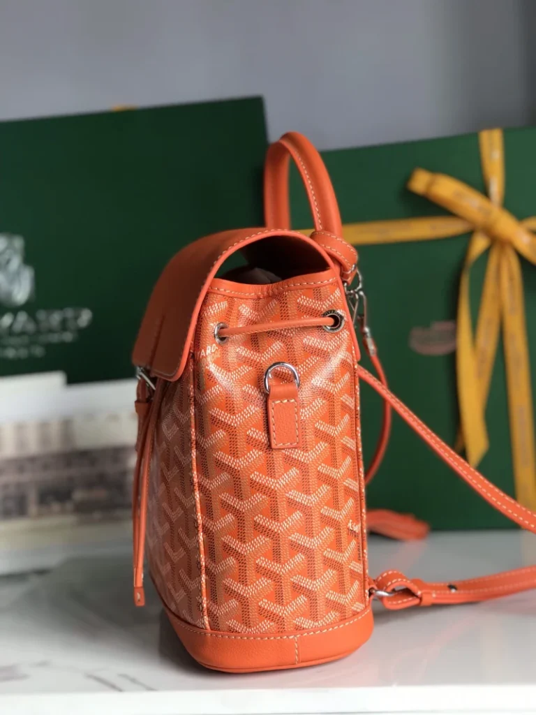 Goyard Alpin Mini Backpack Bag 066
