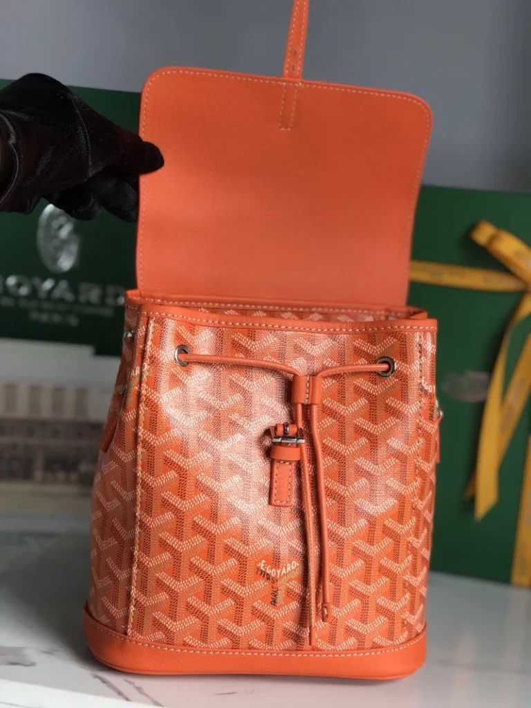 Goyard Alpin Mini Backpack Bag 069