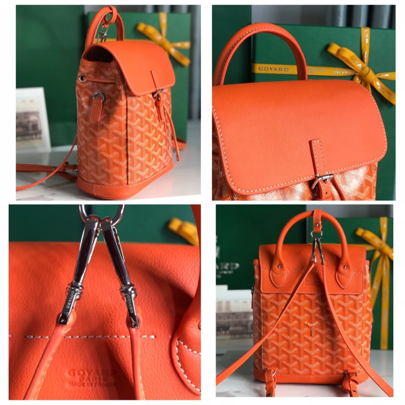 Goyard Alpin Mini Backpack Bag 073