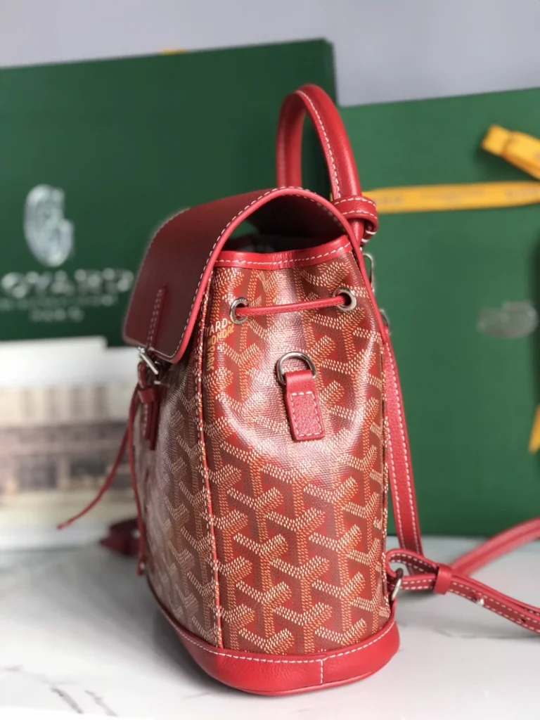 Goyard Alpin Mini Backpack Bag 075