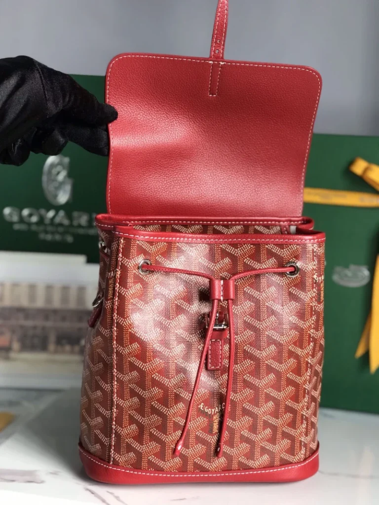 Goyard Alpin Mini Backpack Bag 079