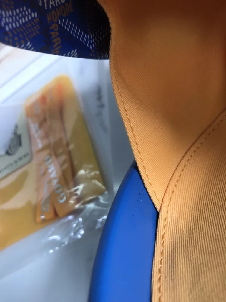 Goyard Alto Hatbox Trunk Bag 018