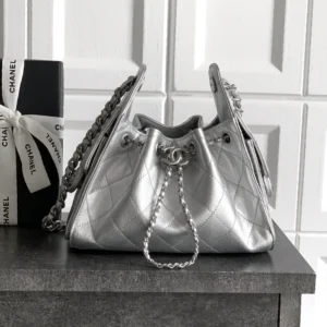 Chanel Hobo Bag 25C  AS5631/AS5293