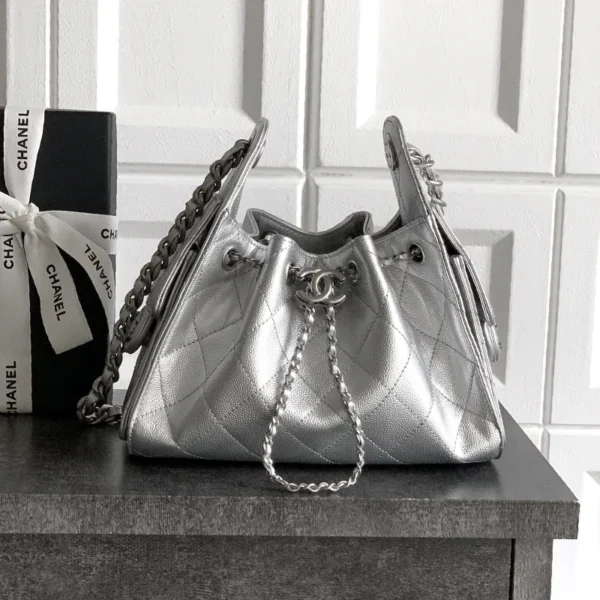 Chanel Hobo Bag 25C  AS5631/AS5293