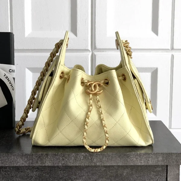 Chanel Hobo Bag 25C  AS5631/AS5293