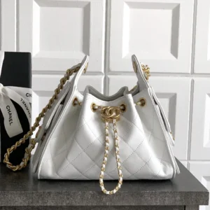 Chanel Hobo Bag 25C  AS5631/AS5293